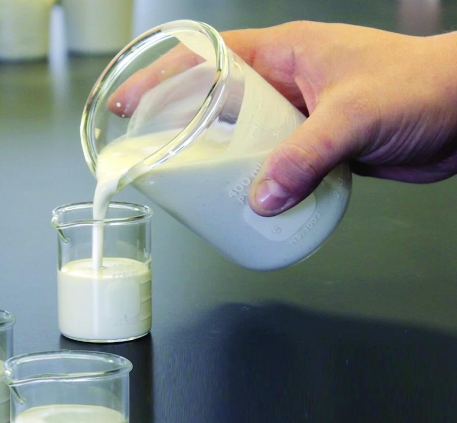 Quicklime, hydrate or CalSafe® lime slurry? Carmeuse